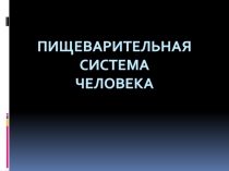 Пищеварительная система человека