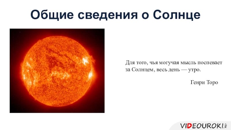 Общие сведения о Солнце