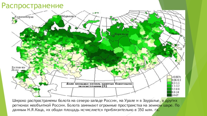 Территория болот в россии. Болота распространение. Территории распространения болот. Болота районы распространения. Районы распространения болот в России на карте.