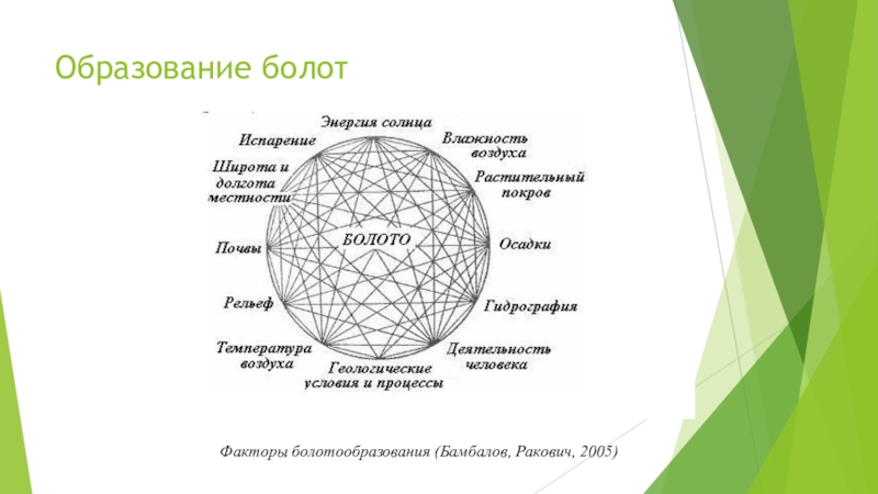 Причины образования болот. Факторы образования болота. Условия образования болот. Факторы болотообразования.