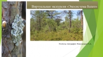 Виртуальная экскурсия Экосистема болот