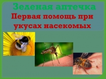 Зеленая аптечка
