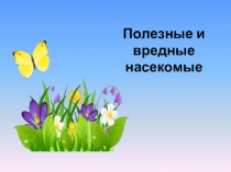 Полезные и вредные насекомые