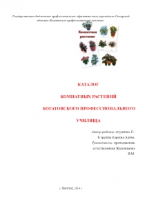Государственное бюджетное профессиональное образовательное учреждение Самарской