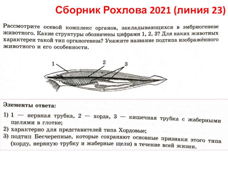 Линии заданий егэ. Сборник Рохлова. Рохлов 2021. Рисунок Рохлова человек.