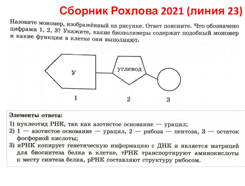 Сборник Рохлова 2021 (линия 23)