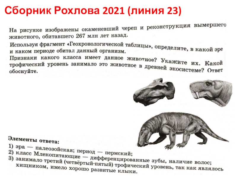 Сборник Рохлова 2021 (линия 23)