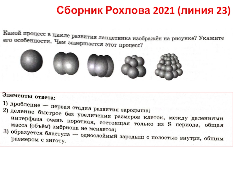 Сборник Рохлова 2021 (линия 23)