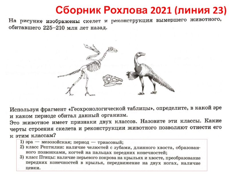 Сборник Рохлова 2021 (линия 23)