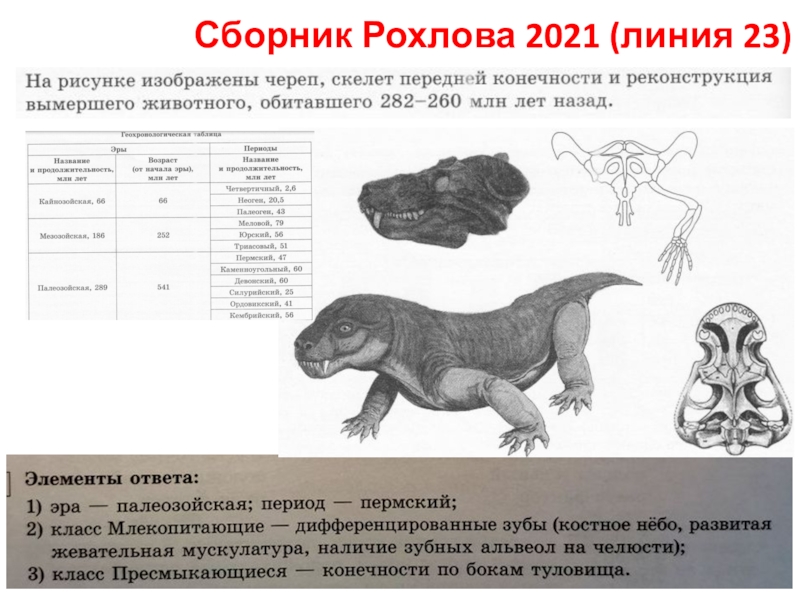 Сборник Рохлова 2021 (линия 23)