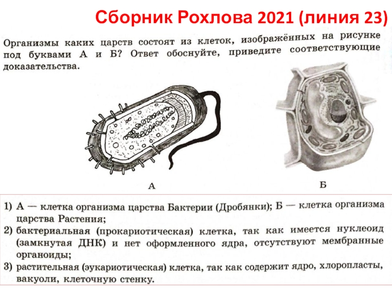 Сборник Рохлова 2021 (линия 23)