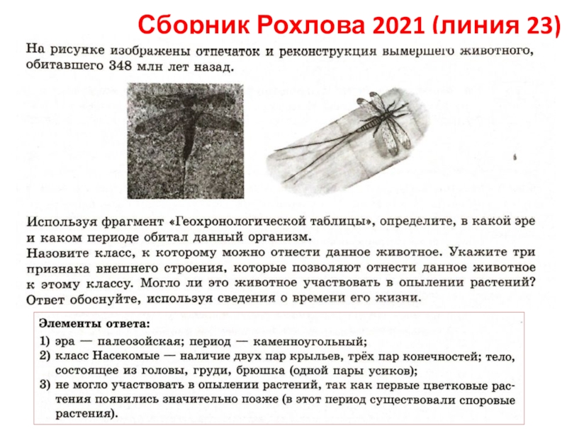 Сборник Рохлова 2021 (линия 23)