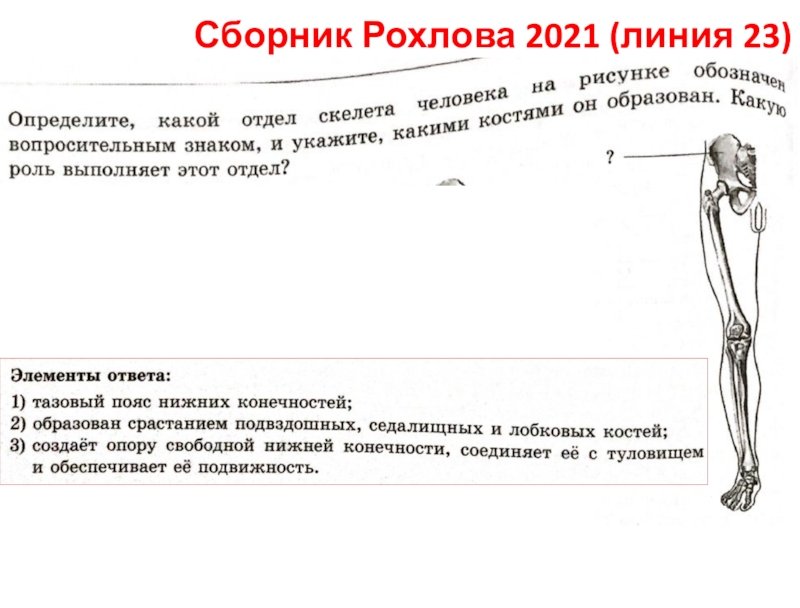 Сборник Рохлова 2021 (линия 23)