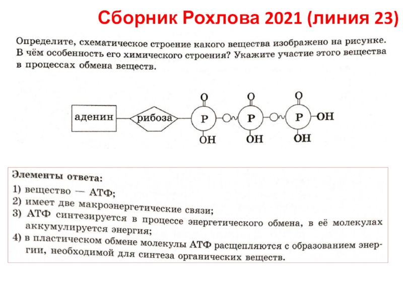 Сборник Рохлова 2021 (линия 23)