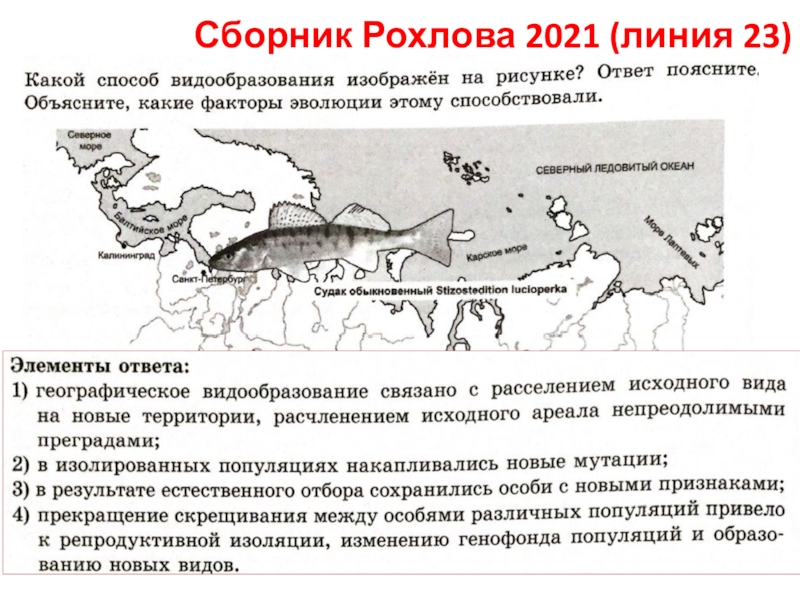 Сборник Рохлова 2021 (линия 23)