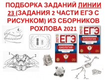 ПОДБОРКА ЗАДАНИЙ ЛИНИИ 23 (ЗАДАНИЯ 2 ЧАСТИ ЕГЭ С РИСУНКОМ) ИЗ СБОРНИКОВ РОХЛОВА