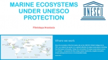 MARINE ECOSYSTEMS UNDER UNESCO PROTECTION