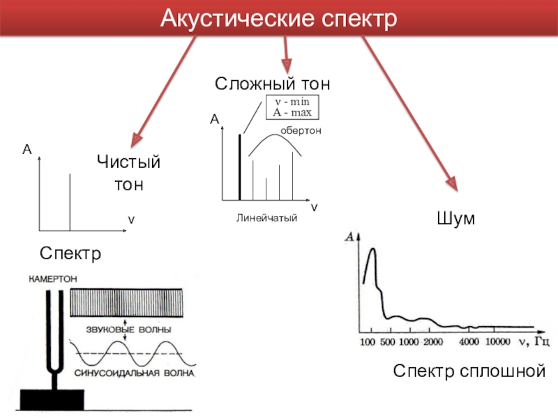 Сложные звуки. Акустический спектр сложного тонального звука. Акустический спектр сложного тона сплошной. Акустические спектры сложного тона и шума. Акустический спектр сложного тона линейчатый.