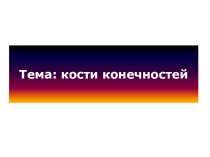 Тема: кости конечностей