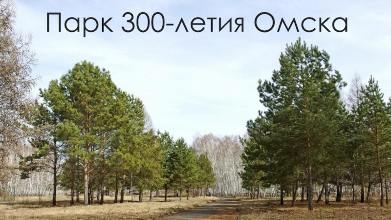 Парк 300-летия Омска