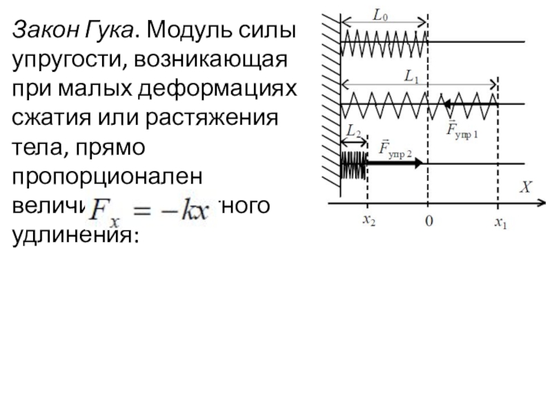 Модуль силы упругости график