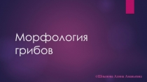 Морфология грибов