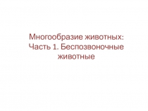 Многообразие животных: Часть 1. Беспозвоночные животные