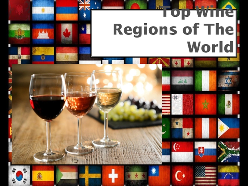 Top Wine Regions of The World