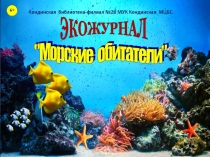 Морские обитатели. Морской конёк