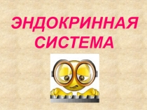 ЭНДОКРИННАЯ СИСТЕМА