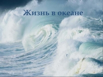 Жизнь в океане