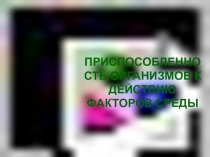 Приспособленность организмов к действию факторов среды