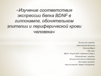 Изучение соответствия экспрессии белка BDNF в гиппокампе, обонятельном