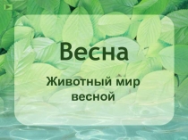 Весна