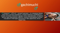 gachimuch i ♂