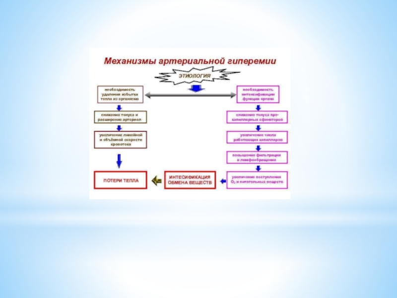 Артериальная гиперемия механизмы развития. Патогенез артериальной гиперемии. Патогенез стаза патофизиология. Патогенез венозной гиперемии патофизиология. Презентация микроциркуляция патофизиология.