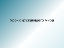 Урок окружающего мира