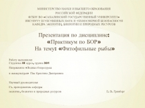 Научный руководитель:
Ст. преподаватель кафедры
экологии, биологии и природных
