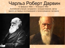 Чарл ь з Роберт Дарвин