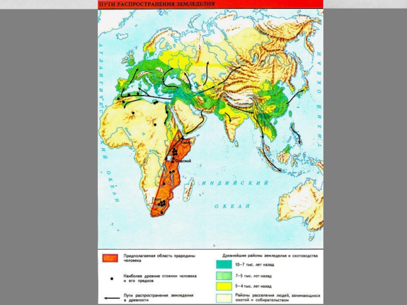 Районы распространения. Древнейшие районы земледелия и скотоводства. Древние районы земледелия. Карта земледелия. Древнейший район земледелия на карте.