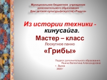 Муниципальное бюджетное учреждение дополнительного образования Дом детской