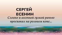 Словно я весенней гулкой ранью проскакал на розовом коне...
СЕРГЕЙ ЕСЕНИН