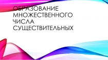 Образование множественного числа существительных