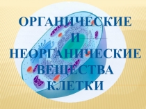 Органические и неорганические вещества клетки