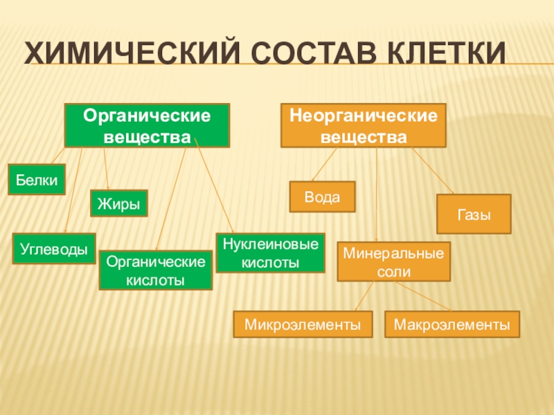 Презентация неорганические вещества клетки 10 класс биология