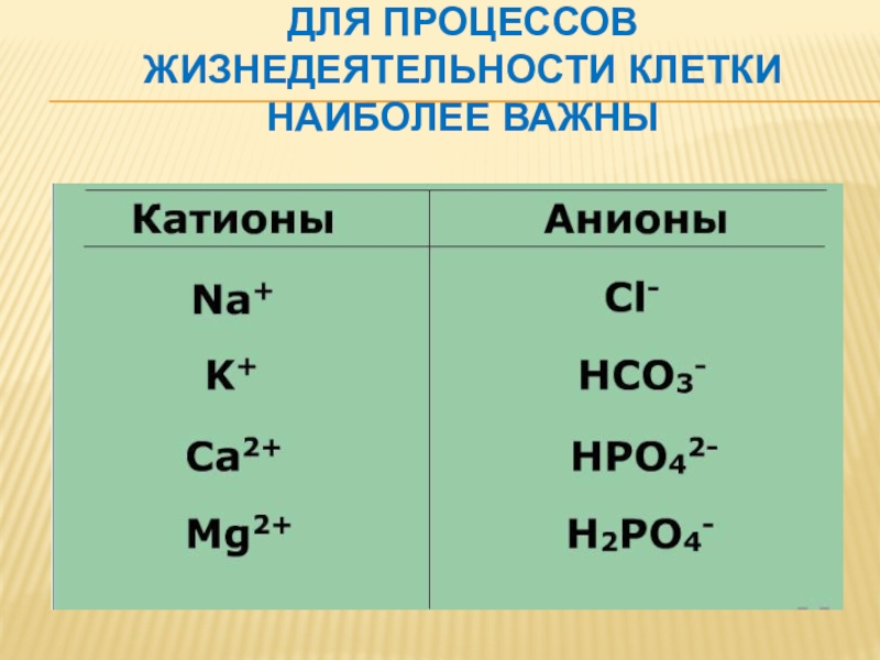 Органические соединения co2. Заряды веществ. Органическая и неорганическая химия. Cac2 органическое или неорганическое. Co2 органическое вещество или неорганическое.