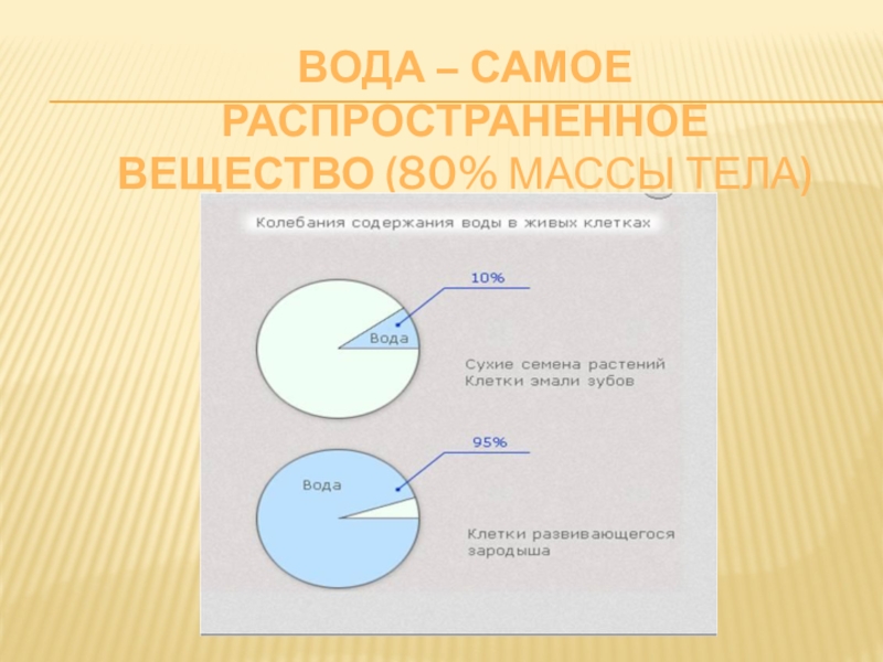 Органические вещества клетки вода