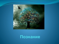 Познание
