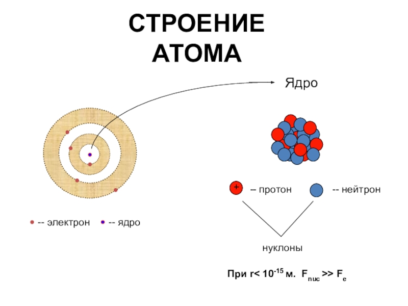 Строение атомного ядра схема