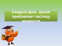 Каждый день жизни прибавляет частицу мудрости